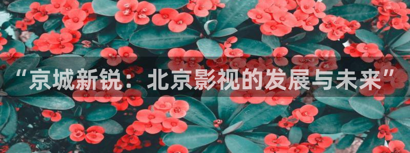 adc欧美影院：“京城新锐：北京影视的发展与未来”