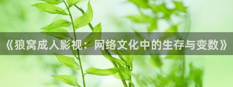 欧美影院午夜免费看