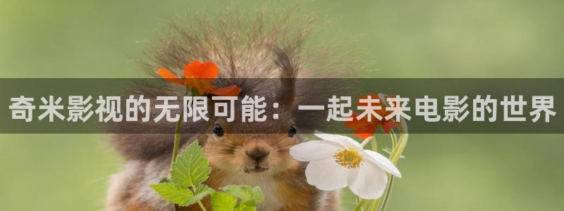 欧美影院午夜免费看