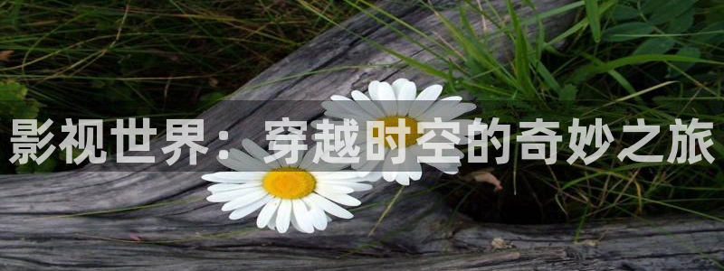 华数欧美影院：影视世界：穿越时空的奇妙之旅