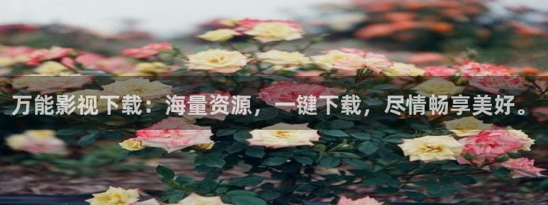 华数欧美影院